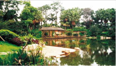 佛山市中山公園景觀(guān)工程